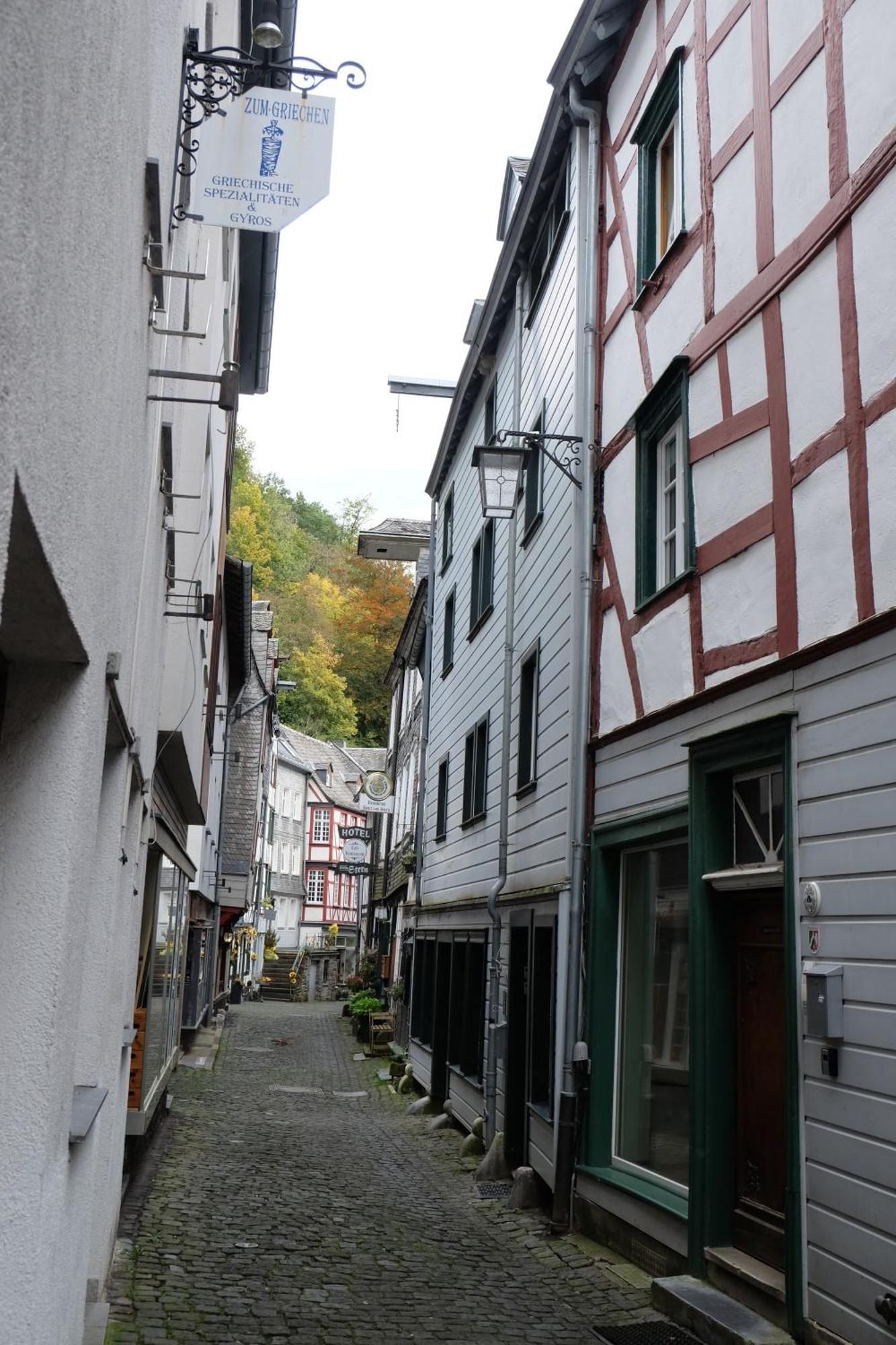 Apartment Am Fluss Im Haus An Der Rur モンシャウ エクステリア 写真