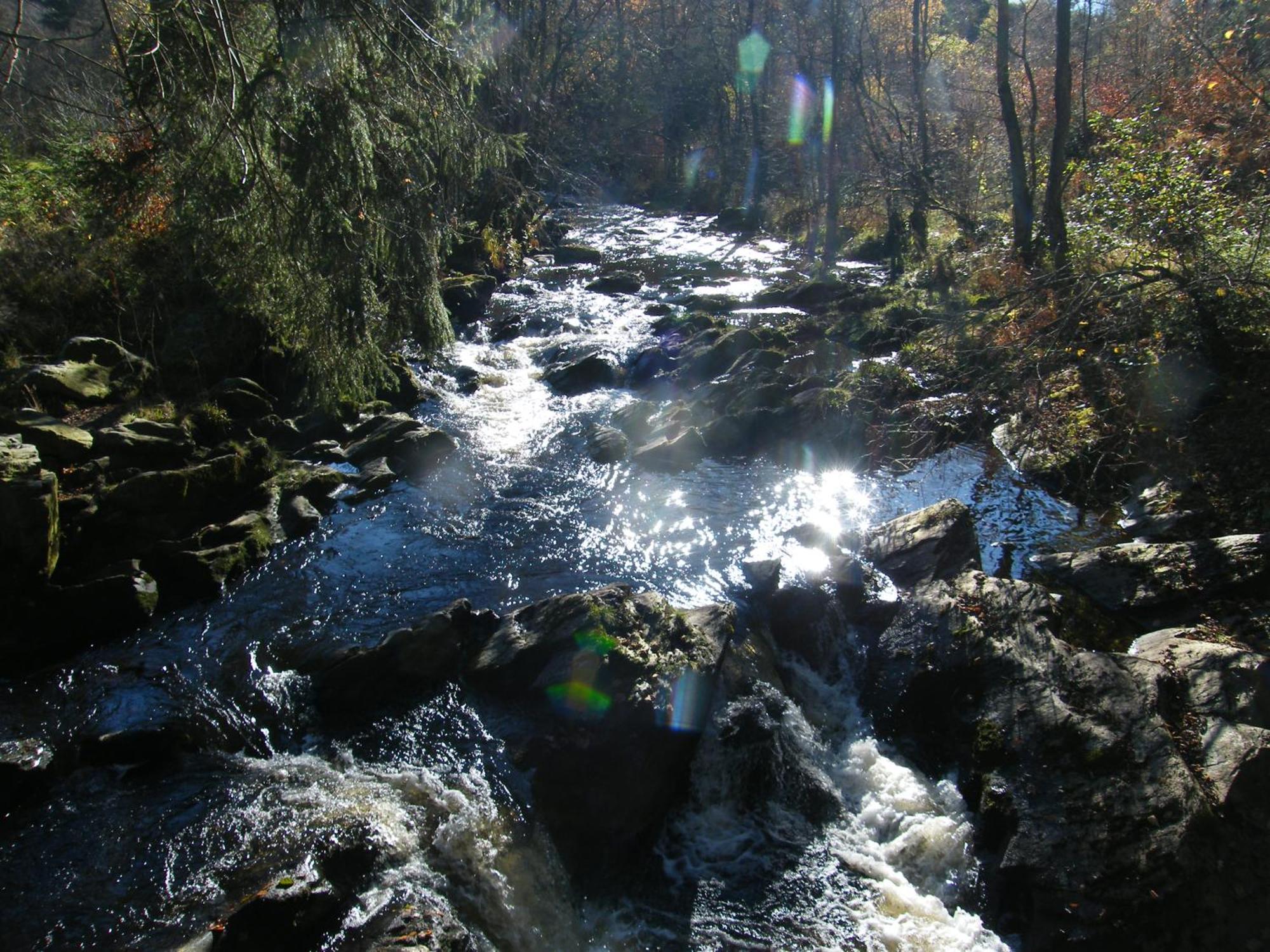 Apartment Am Fluss Im Haus An Der Rur モンシャウ エクステリア 写真